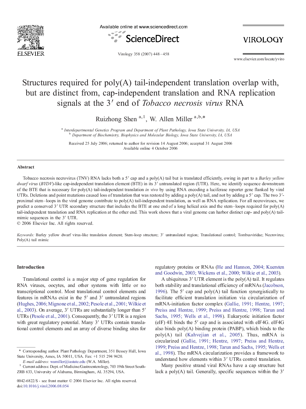 Structures required for poly(A) tail-independent translation overlap with, but are distinct from, cap-independent translation and RNA replication signals at the 3′ end of Tobacco necrosis virus RNA