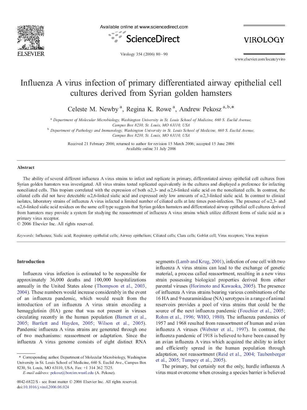 Influenza A virus infection of primary differentiated airway epithelial cell cultures derived from Syrian golden hamsters