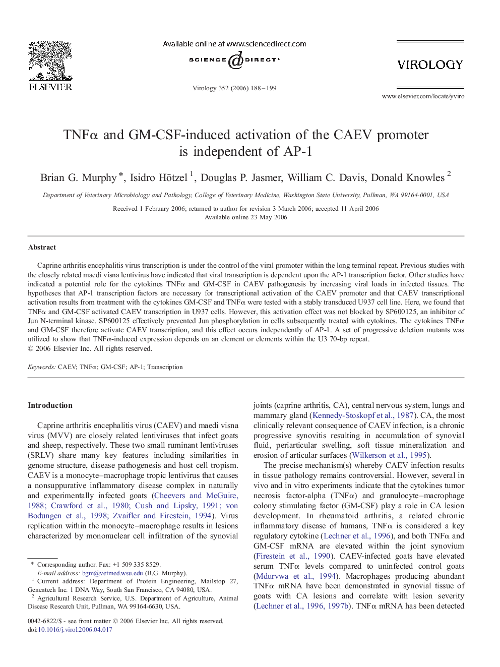 TNFα and GM-CSF-induced activation of the CAEV promoter is independent of AP-1