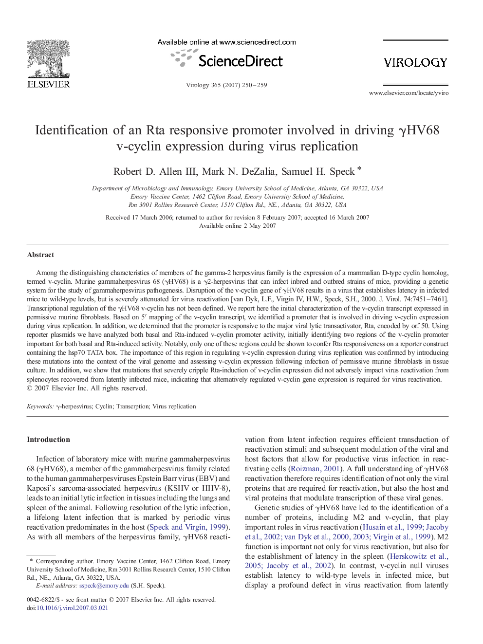 Identification of an Rta responsive promoter involved in driving γHV68 v-cyclin expression during virus replication