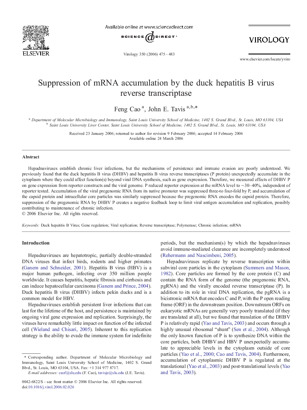 Suppression of mRNA accumulation by the duck hepatitis B virus reverse transcriptase