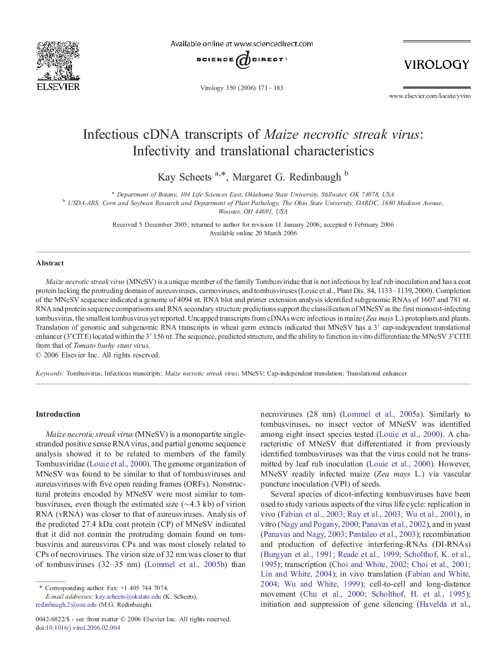 Infectious cDNA transcripts of Maize necrotic streak virus: Infectivity and translational characteristics