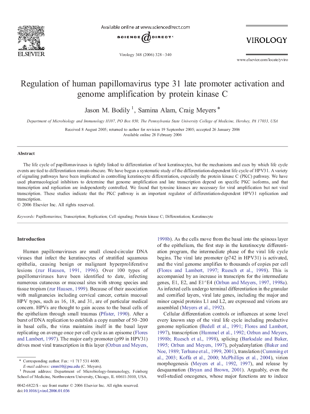 Regulation of human papillomavirus type 31 late promoter activation and genome amplification by protein kinase C