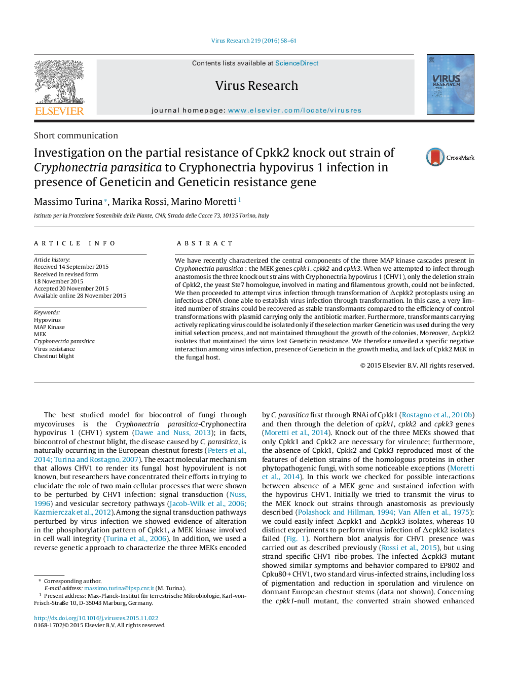 Investigation on the partial resistance of Cpkk2 knock out strain of Cryphonectria parasitica to Cryphonectria hypovirus 1 infection in presence of Geneticin and Geneticin resistance gene