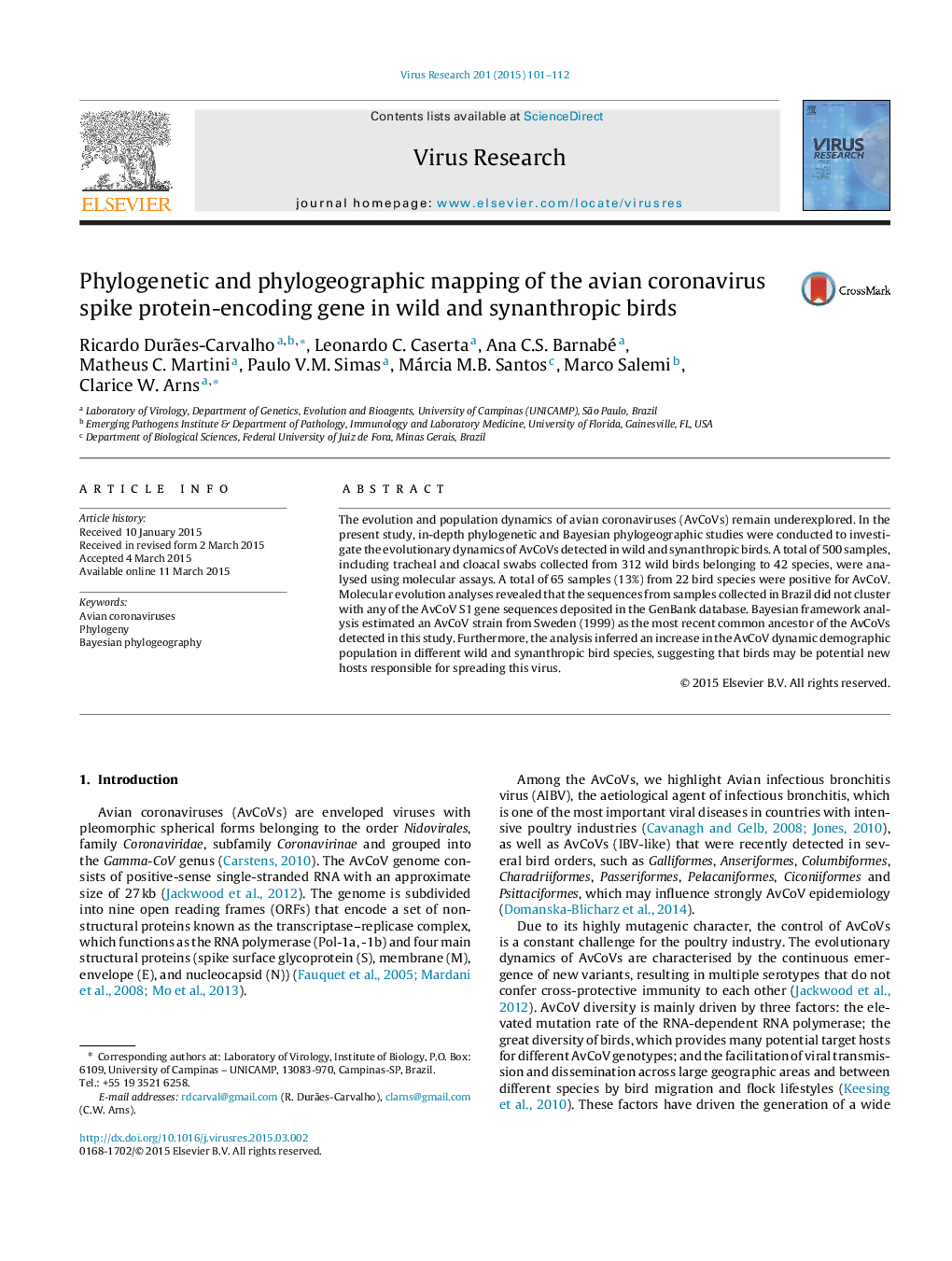 Phylogenetic and phylogeographic mapping of the avian coronavirus spike protein-encoding gene in wild and synanthropic birds