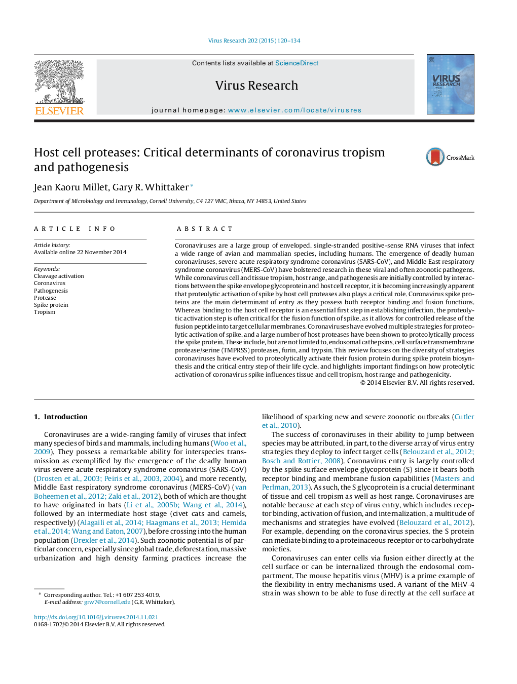 Host cell proteases: Critical determinants of coronavirus tropism and pathogenesis