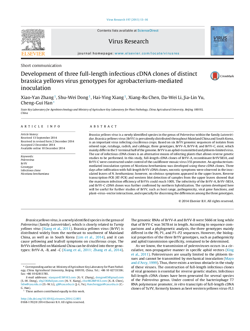 Development of three full-length infectious cDNA clones of distinct brassica yellows virus genotypes for agrobacterium-mediated inoculation