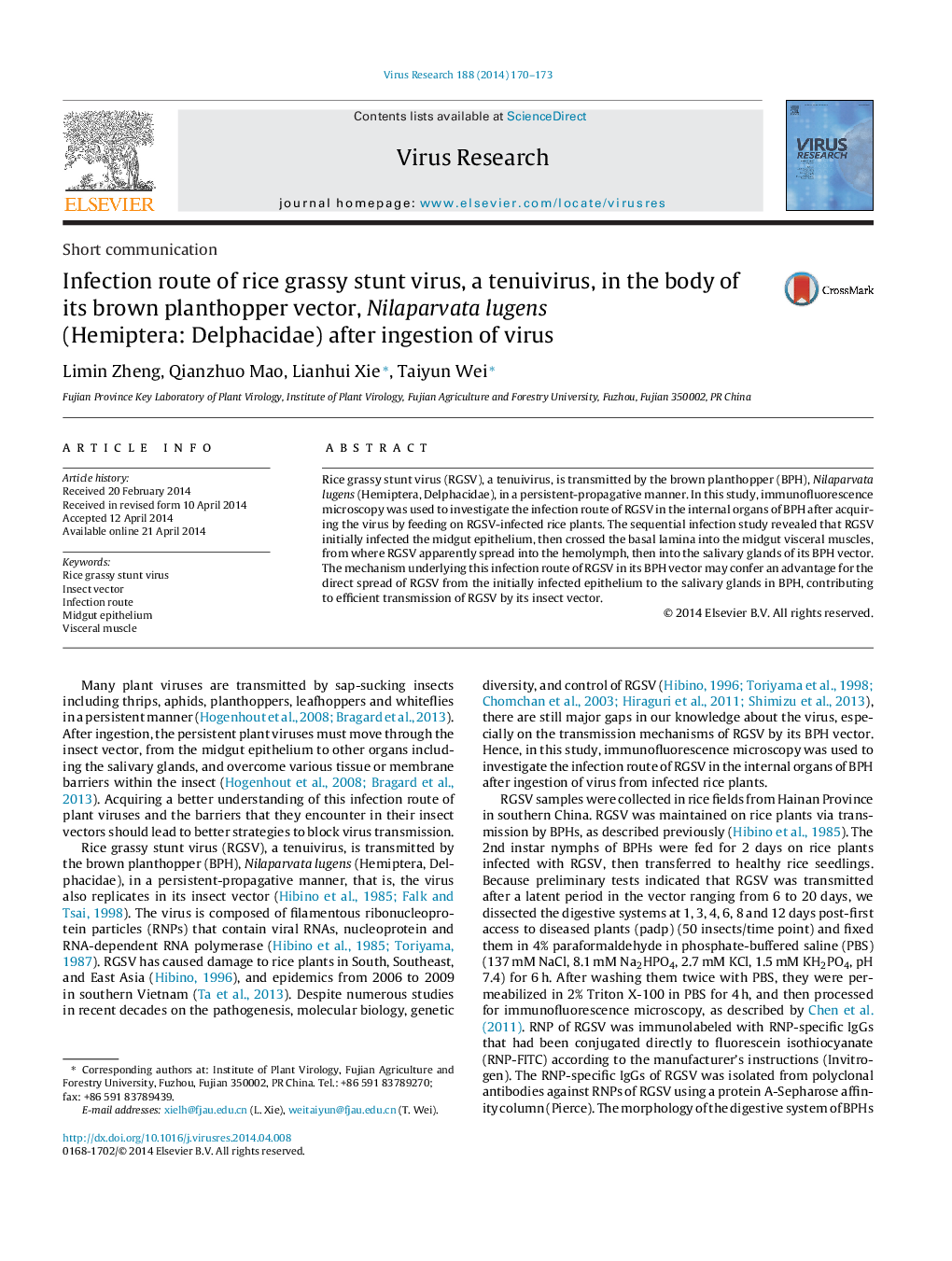 Infection route of rice grassy stunt virus, a tenuivirus, in the body of its brown planthopper vector, Nilaparvata lugens (Hemiptera: Delphacidae) after ingestion of virus