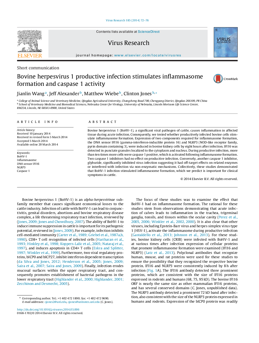 Bovine herpesvirus 1 productive infection stimulates inflammasome formation and caspase 1 activity