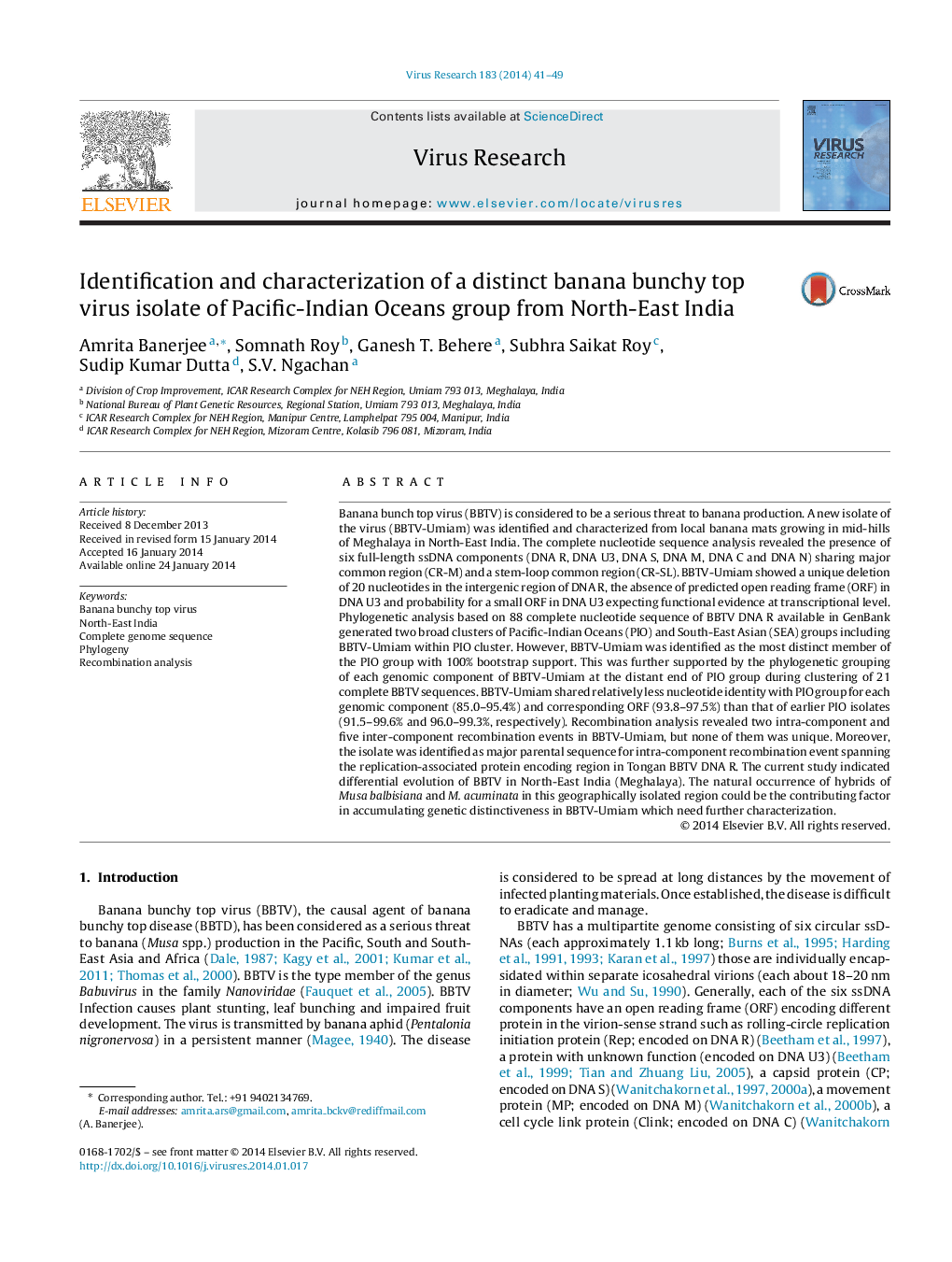 Identification and characterization of a distinct banana bunchy top virus isolate of Pacific-Indian Oceans group from North-East India