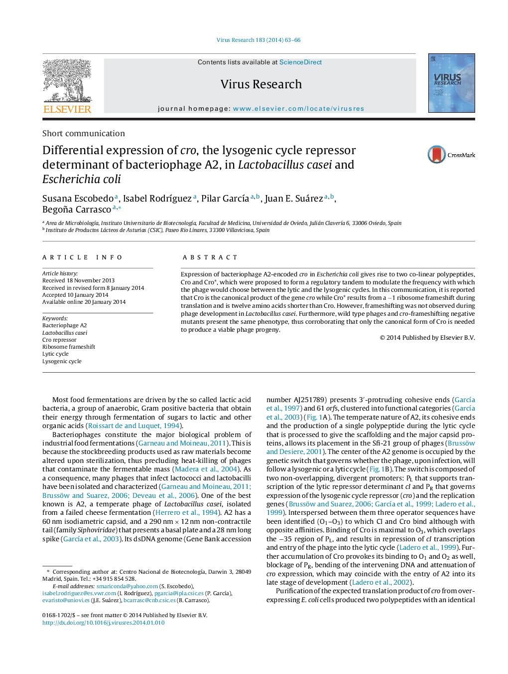 Differential expression of cro, the lysogenic cycle repressor determinant of bacteriophage A2, in Lactobacillus casei and Escherichia coli