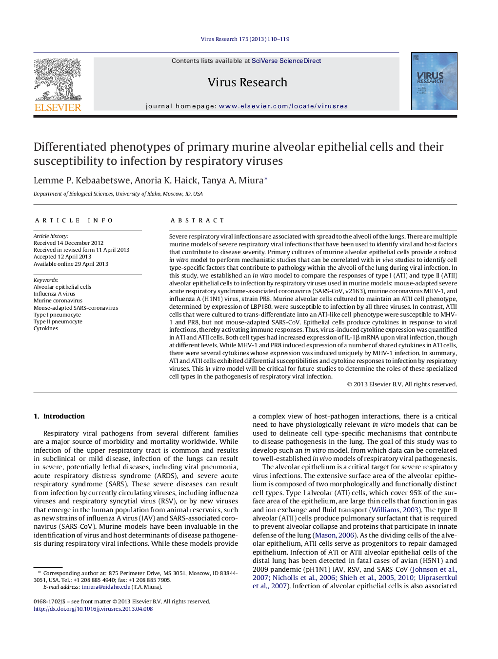 Differentiated phenotypes of primary murine alveolar epithelial cells and their susceptibility to infection by respiratory viruses