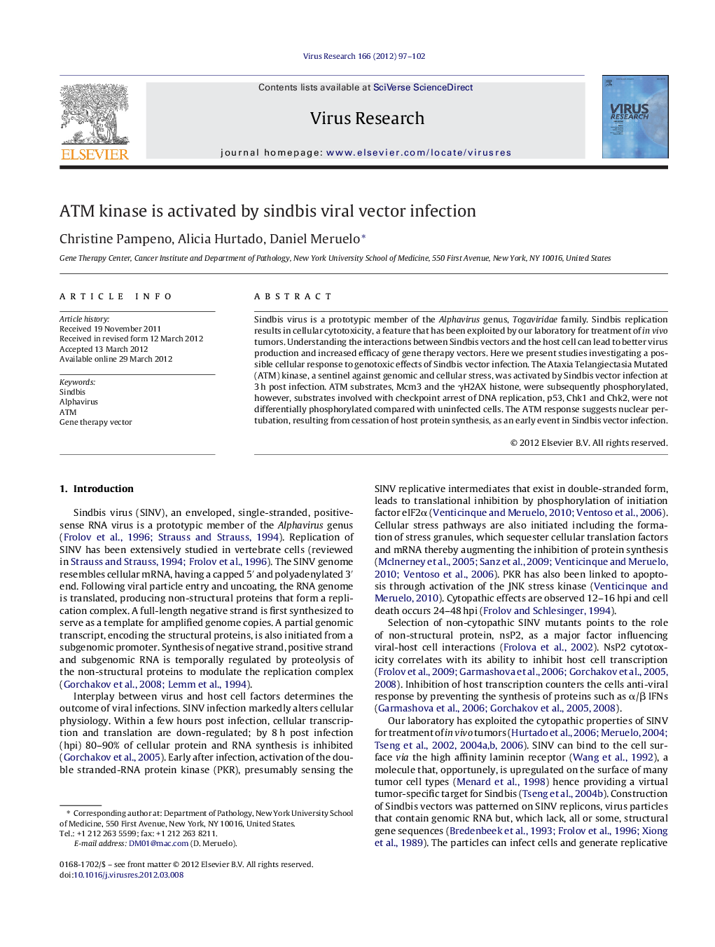 ATM kinase is activated by sindbis viral vector infection