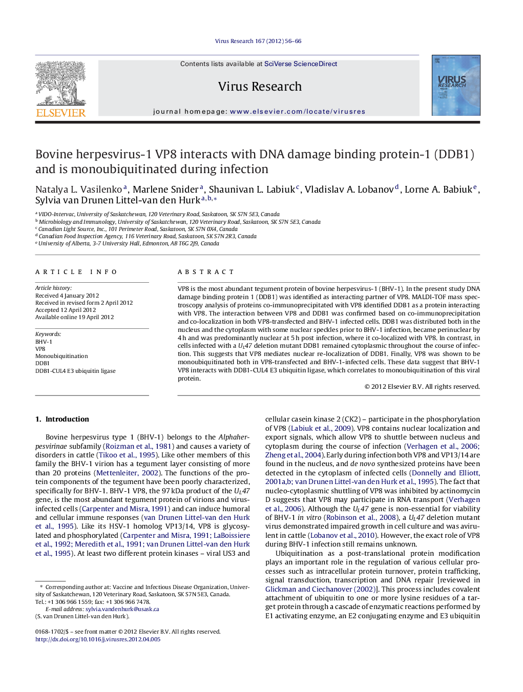 Bovine herpesvirus-1 VP8 interacts with DNA damage binding protein-1 (DDB1) and is monoubiquitinated during infection