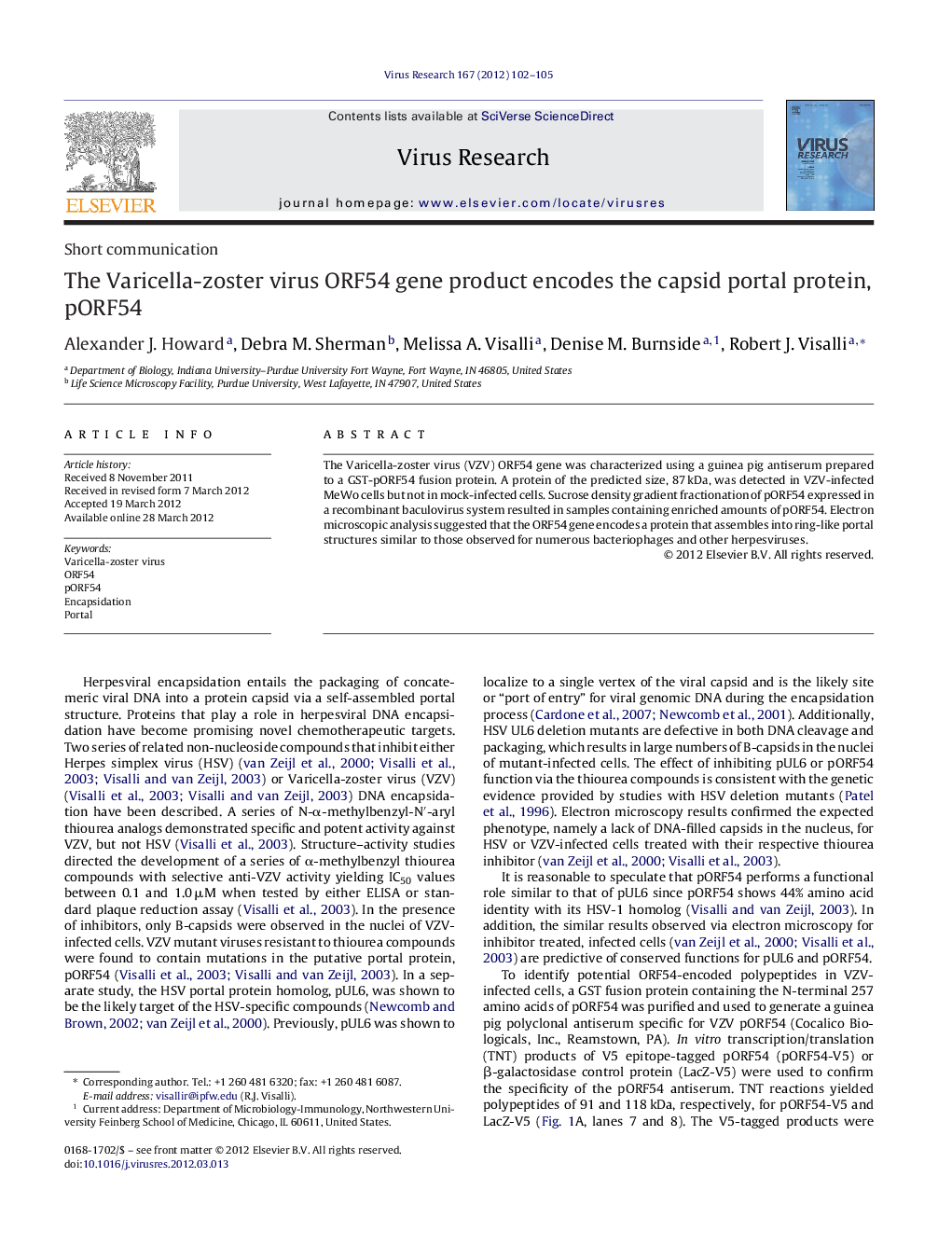 The Varicella-zoster virus ORF54 gene product encodes the capsid portal protein, pORF54