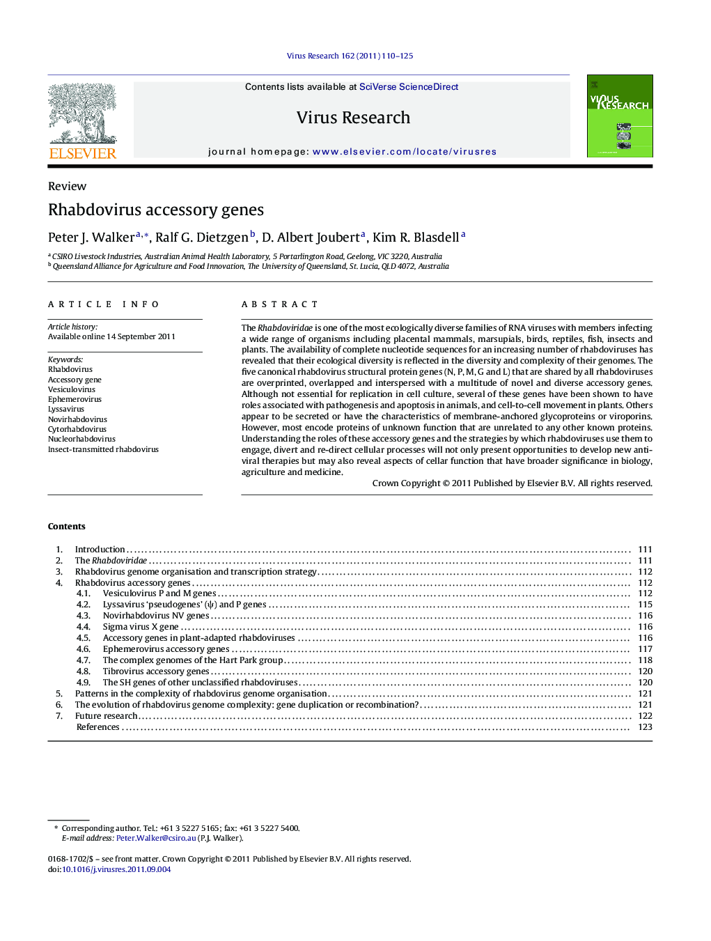 Rhabdovirus accessory genes