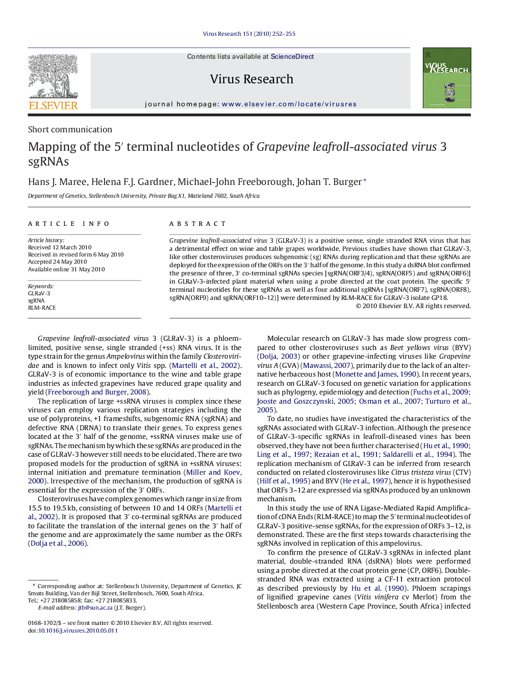 Mapping of the 5â² terminal nucleotides of Grapevine leafroll-associated virus 3 sgRNAs