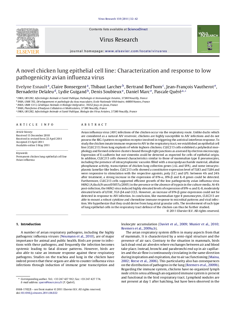 A novel chicken lung epithelial cell line: Characterization and response to low pathogenicity avian influenza virus