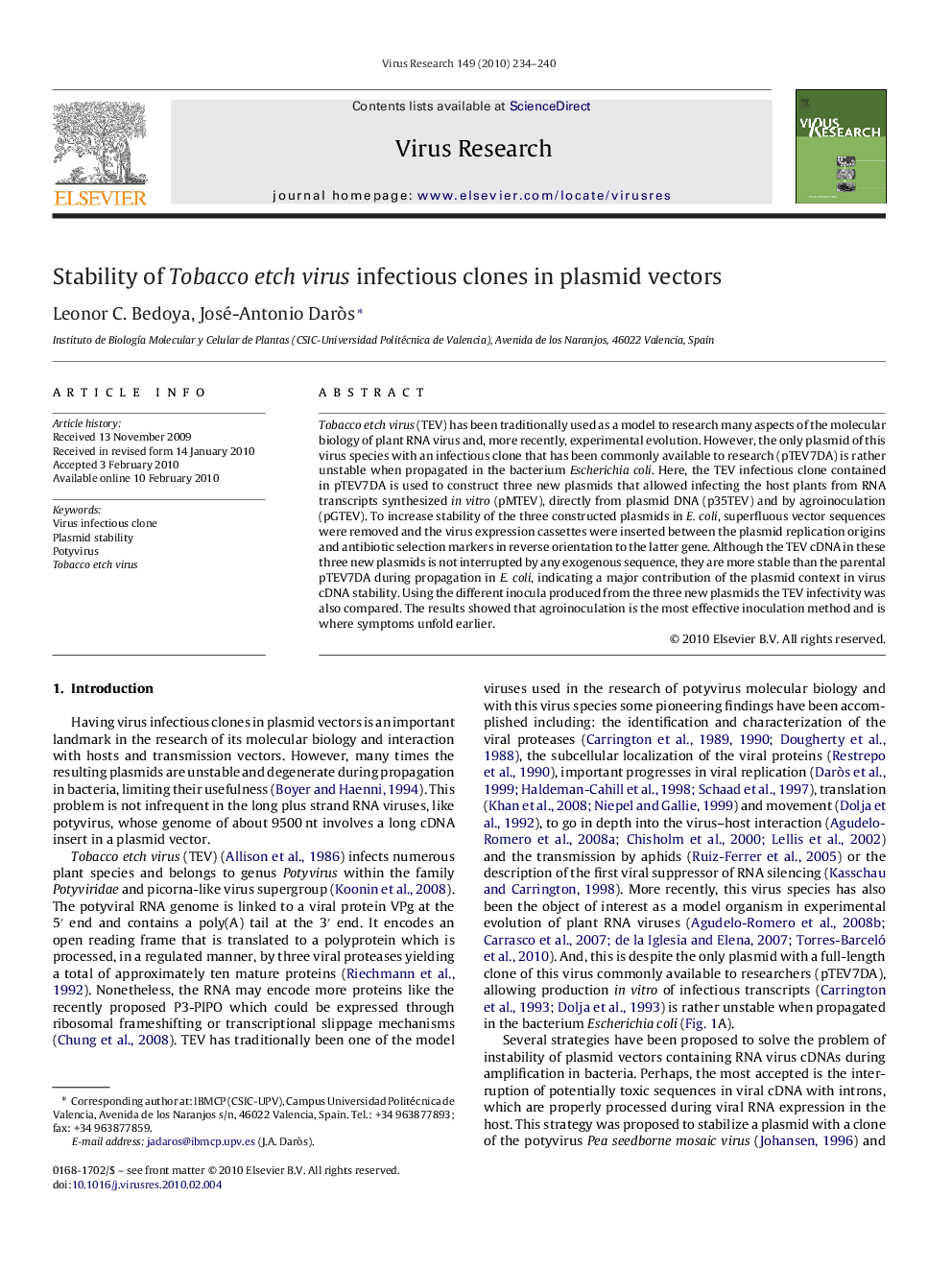 Stability of Tobacco etch virus infectious clones in plasmid vectors