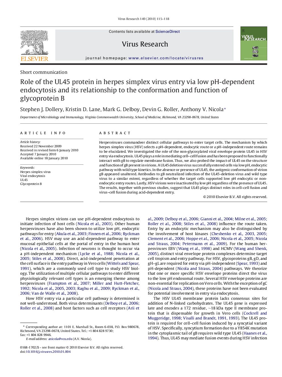 Role of the UL45 protein in herpes simplex virus entry via low pH-dependent endocytosis and its relationship to the conformation and function of glycoprotein B