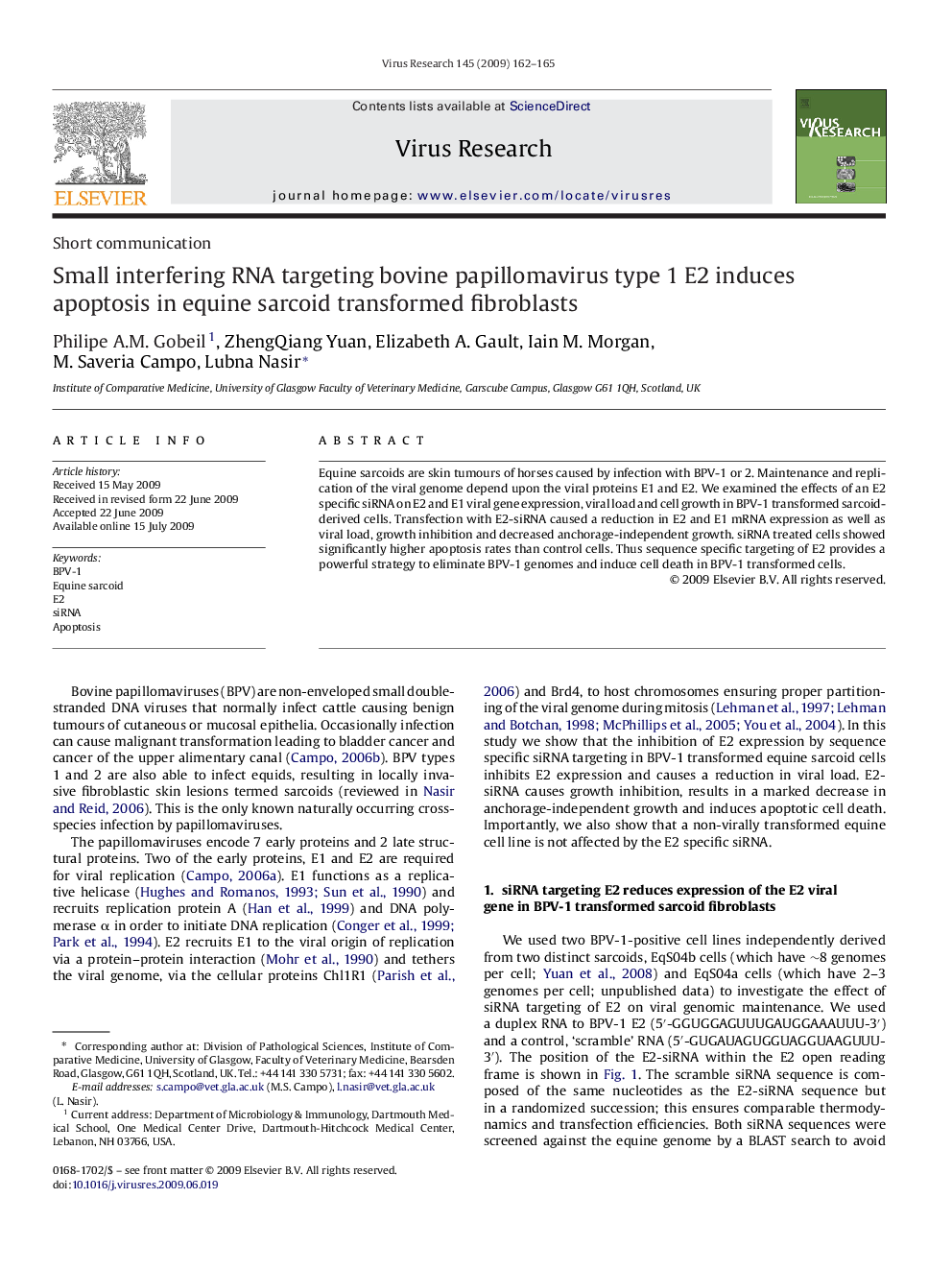 Small interfering RNA targeting bovine papillomavirus type 1 E2 induces apoptosis in equine sarcoid transformed fibroblasts