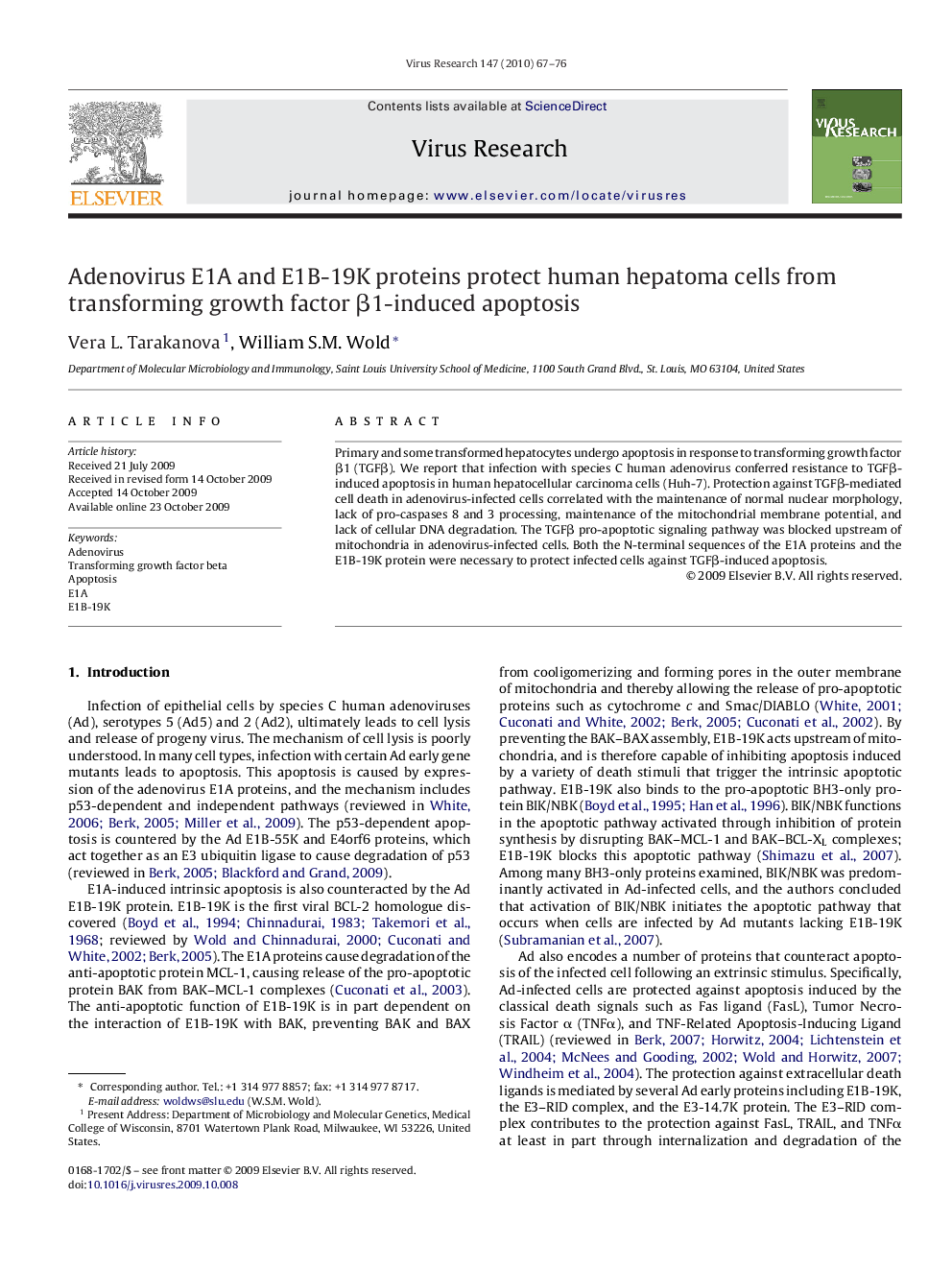 Adenovirus E1A and E1B-19K proteins protect human hepatoma cells from transforming growth factor β1-induced apoptosis