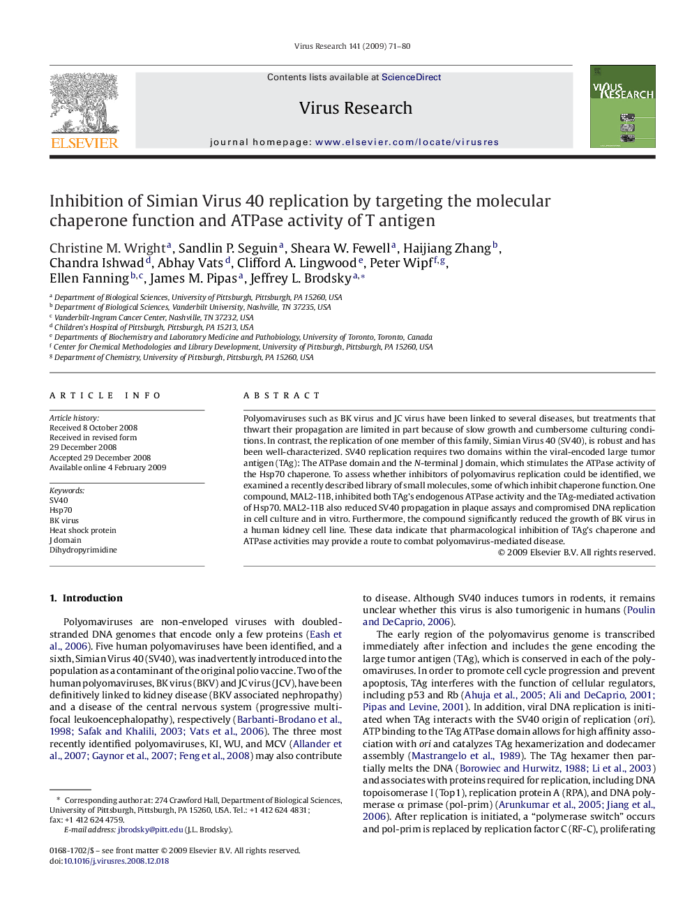 Inhibition of Simian Virus 40 replication by targeting the molecular chaperone function and ATPase activity of T antigen