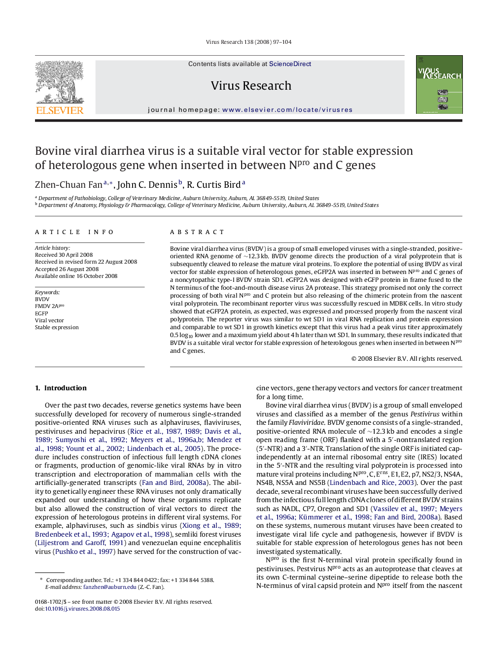 Bovine viral diarrhea virus is a suitable viral vector for stable expression of heterologous gene when inserted in between Npro and C genes