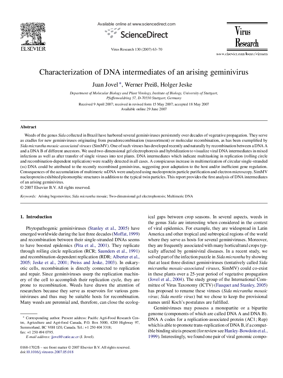 Characterization of DNA intermediates of an arising geminivirus