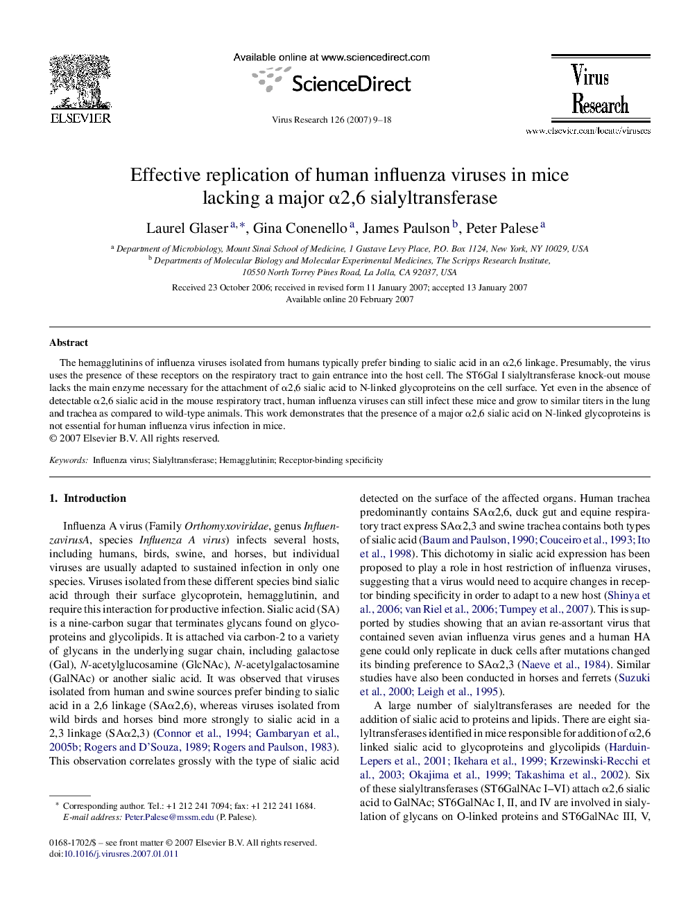 Effective replication of human influenza viruses in mice lacking a major α2,6 sialyltransferase