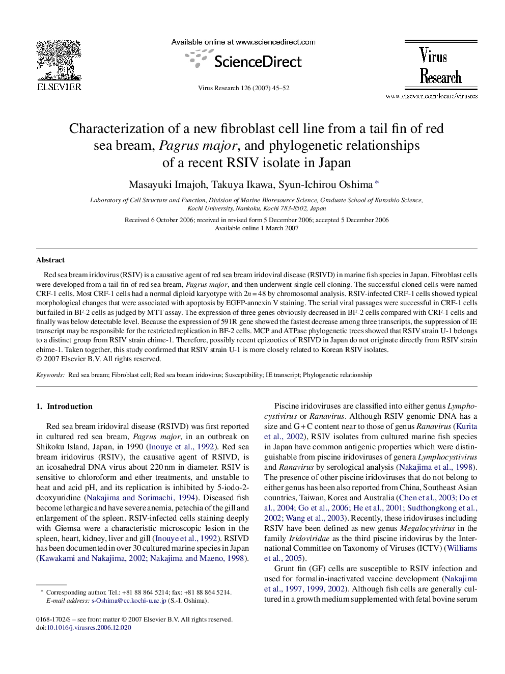 Characterization of a new fibroblast cell line from a tail fin of red sea bream, Pagrus major, and phylogenetic relationships of a recent RSIV isolate in Japan