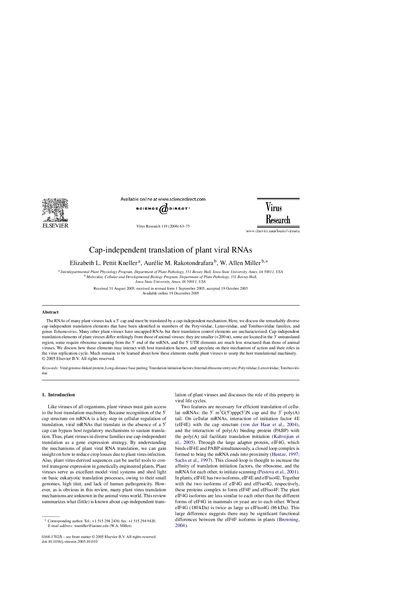 Cap-independent translation of plant viral RNAs