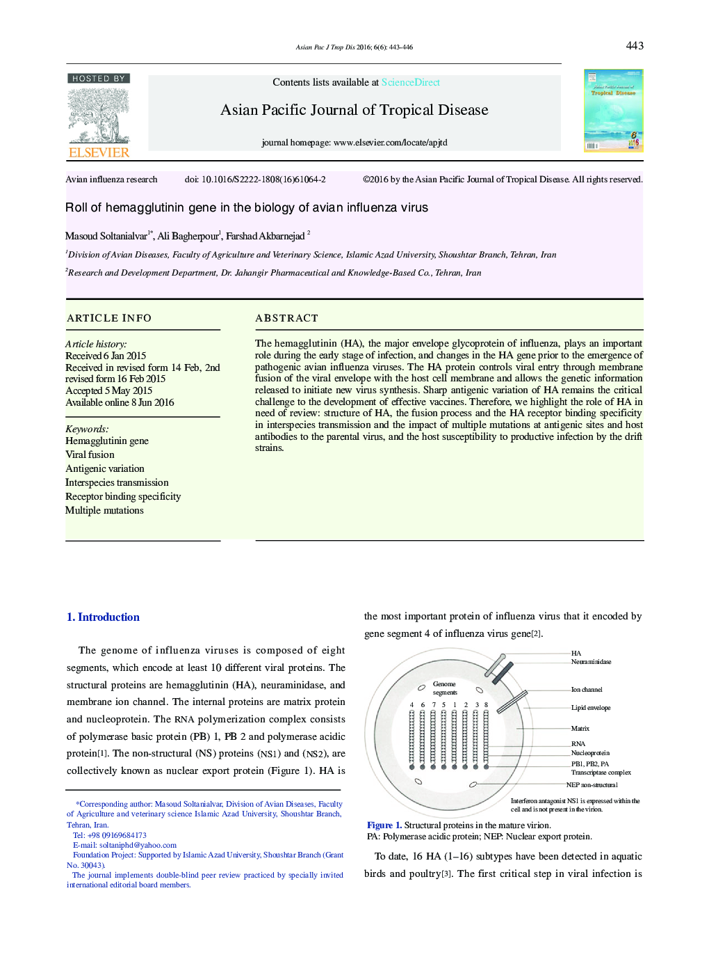 Roll of hemagglutinin gene in the biology of avian influenza virus 