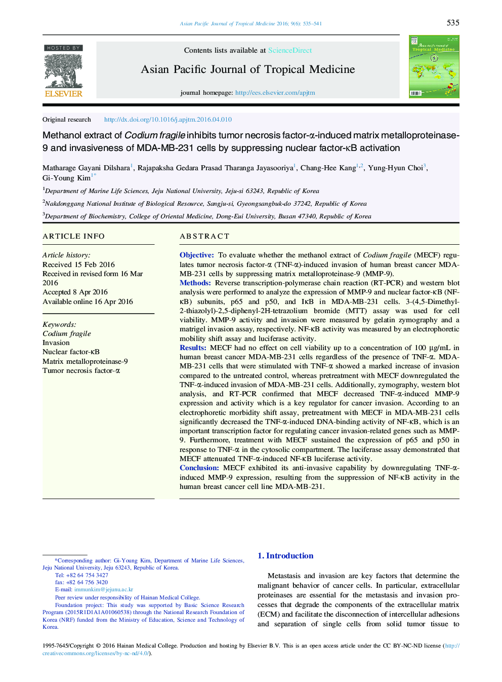 Methanol extract of Codium fragile inhibits tumor necrosis factor-α-induced matrix metalloproteinase-9 and invasiveness of MDA-MB-231 cells by suppressing nuclear factor-κB activation 