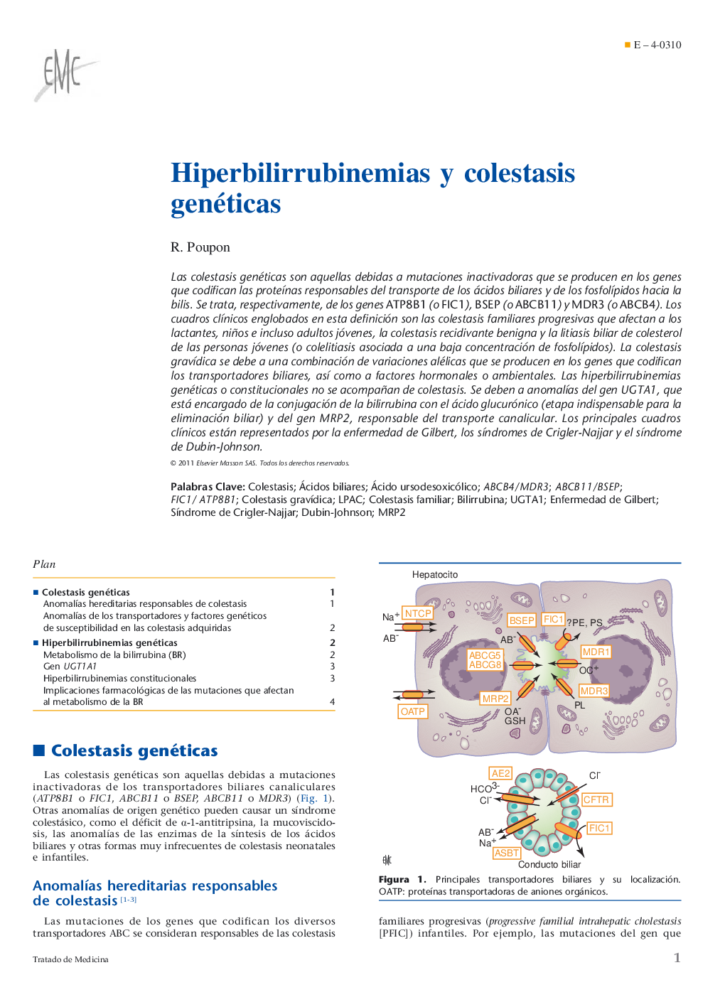 Hiperbilirrubinemias y colestasis genéticas