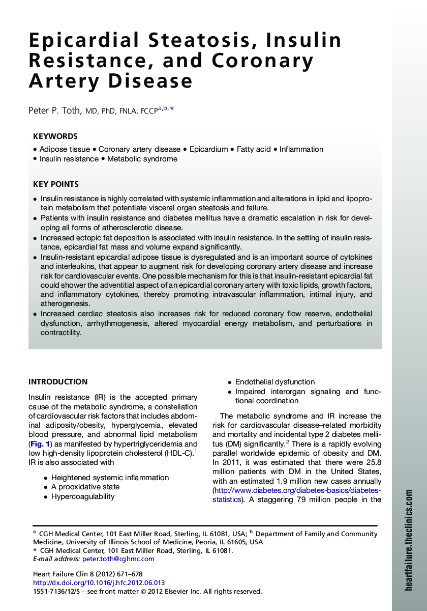 Epicardial Steatosis, Insulin Resistance, and Coronary Artery Disease