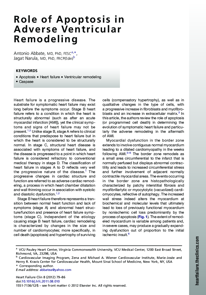 Role of Apoptosis in Adverse Ventricular Remodeling