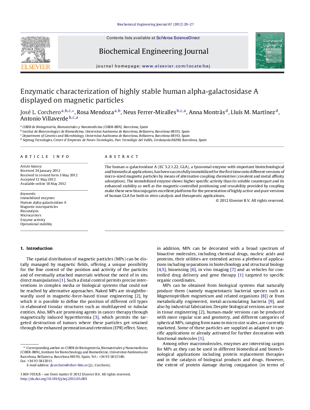 Enzymatic characterization of highly stable human alpha-galactosidase A displayed on magnetic particles