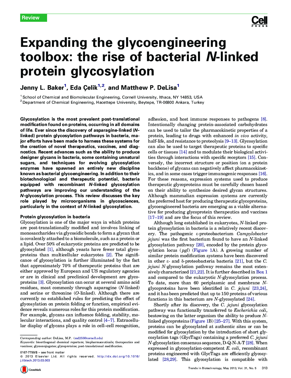 Expanding the glycoengineering toolbox: the rise of bacterial N-linked protein glycosylation