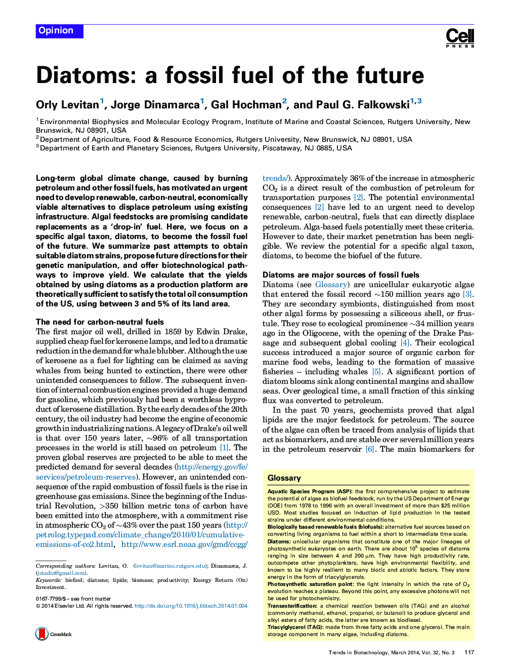 Diatoms: a fossil fuel of the future