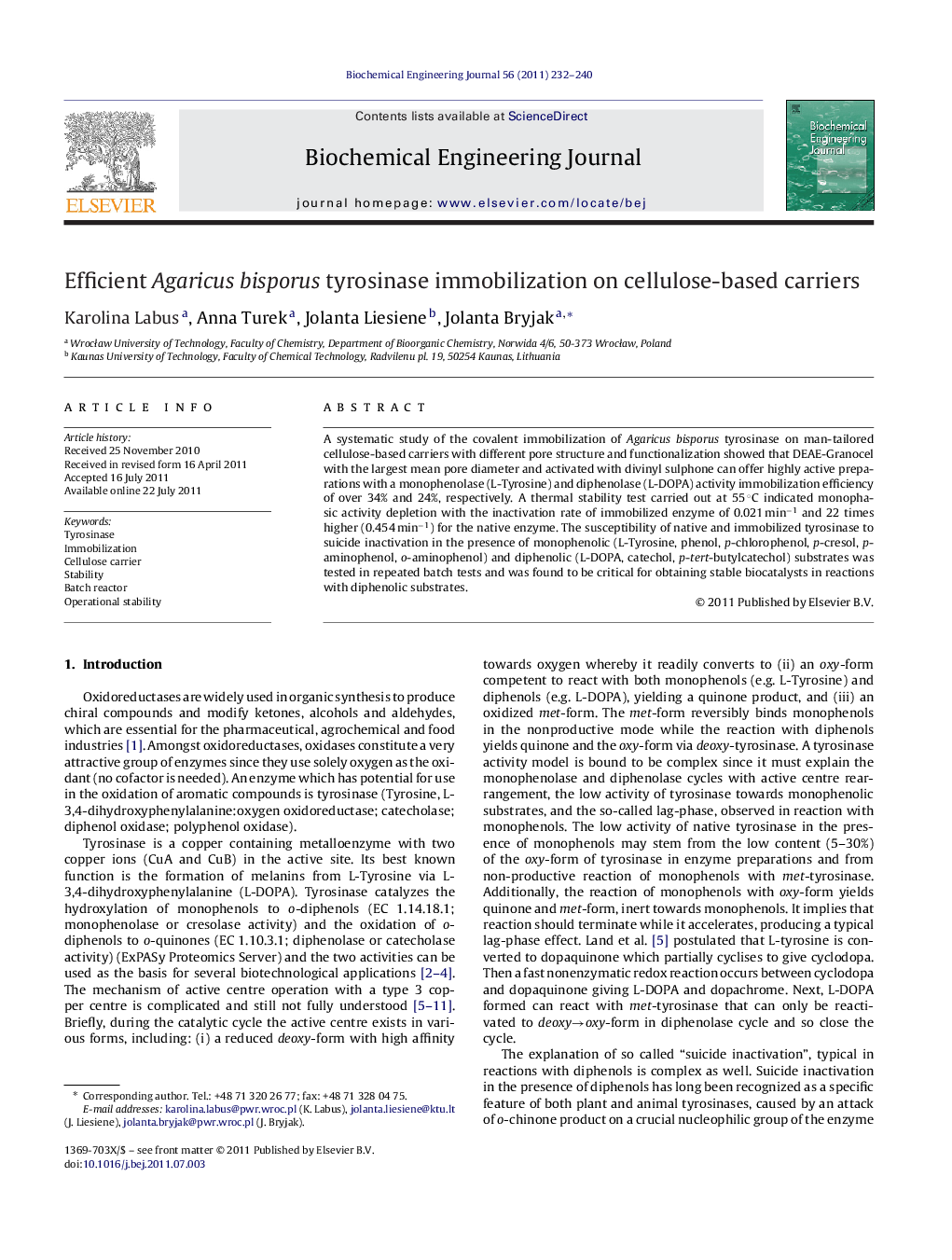 Efficient Agaricus bisporus tyrosinase immobilization on cellulose-based carriers