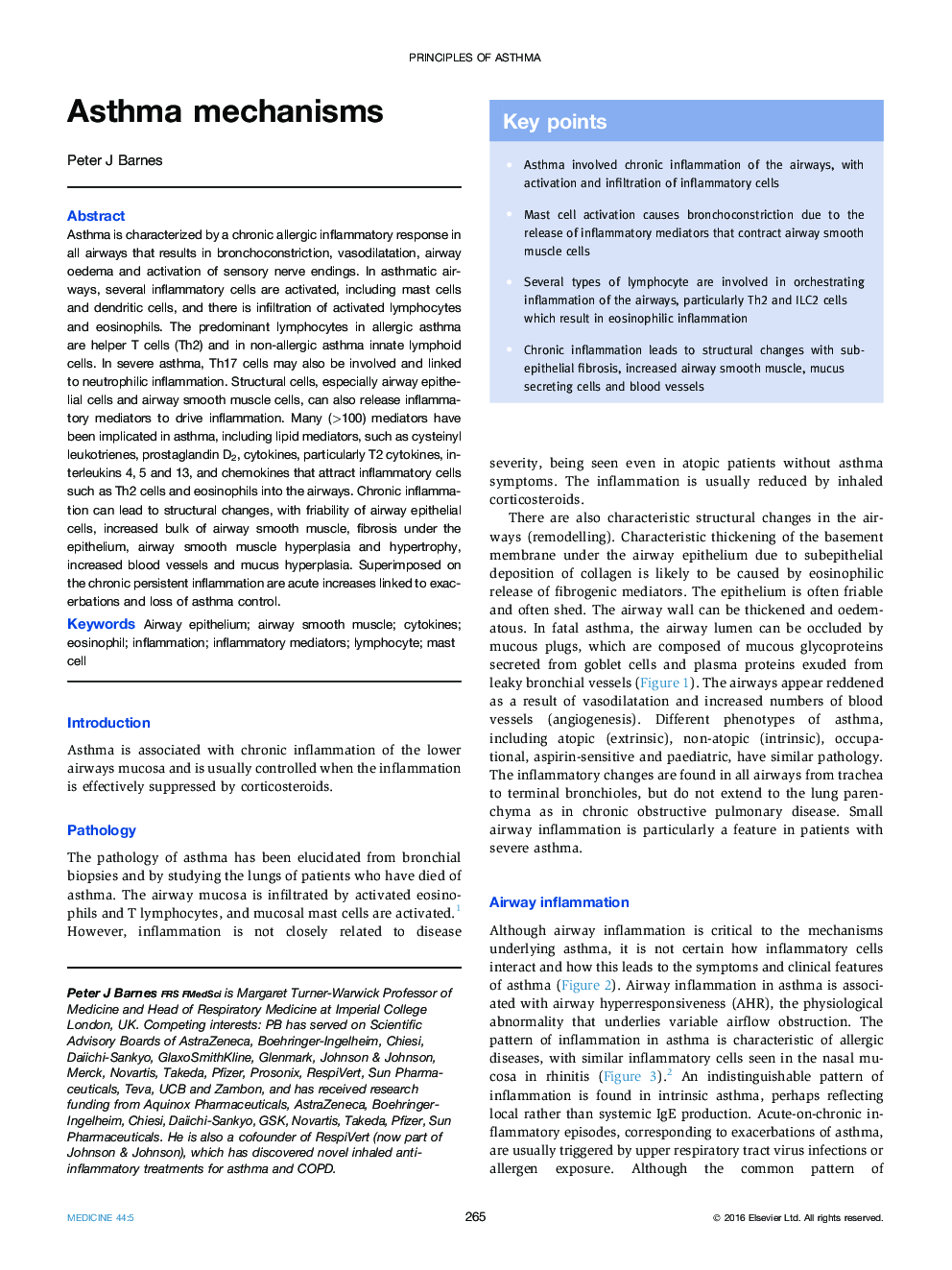 Asthma mechanisms