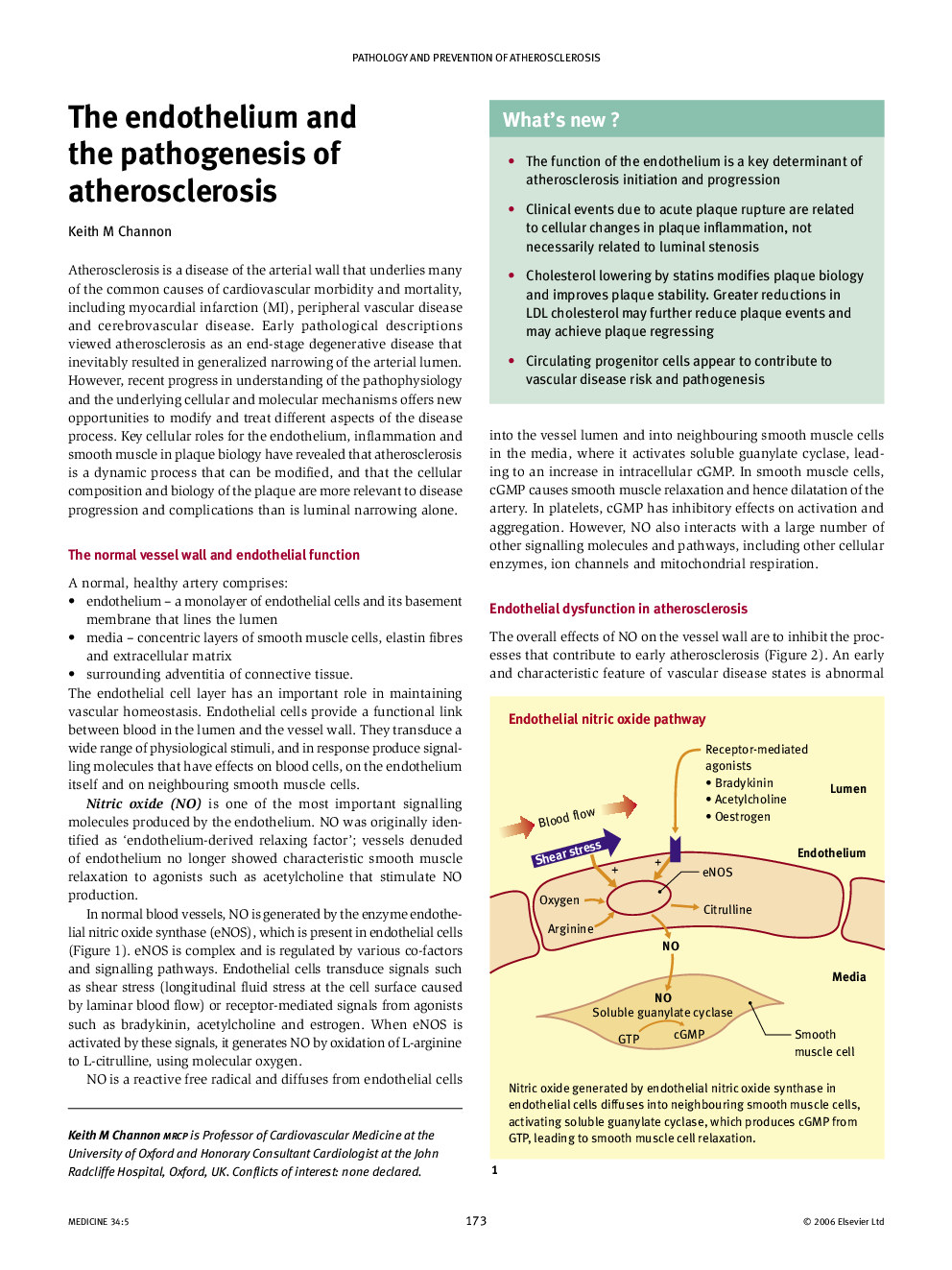 The endothelium and the pathogenesis of atherosclerosis