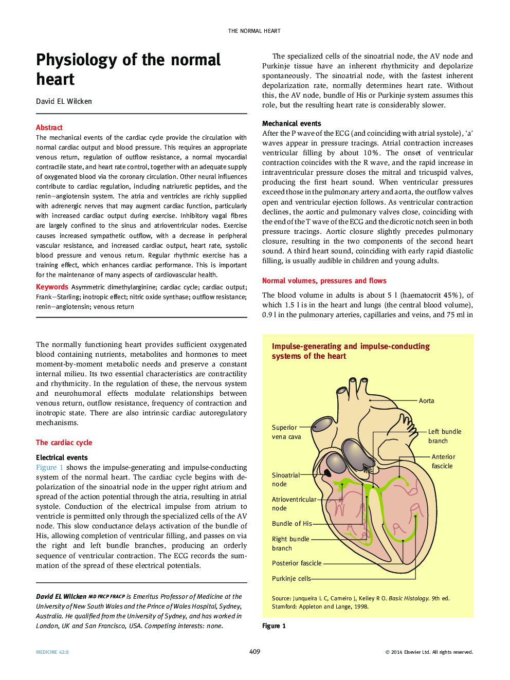 Physiology of the normal heart