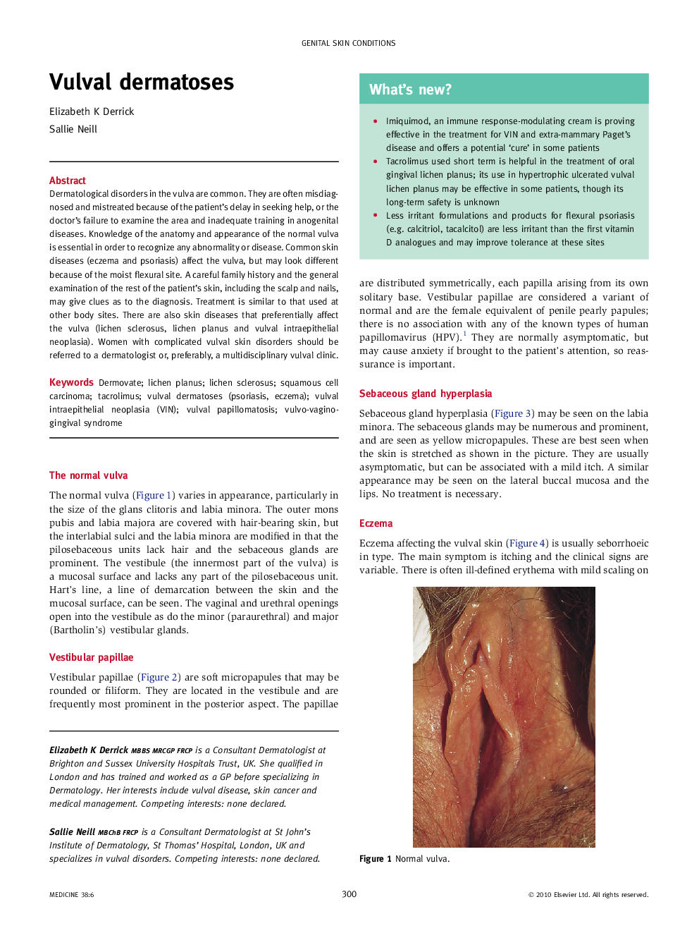 Vulval dermatoses