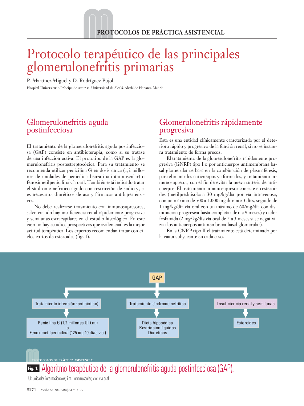 Protocolo terapéutico de las principales glomerulonefritis primarias
