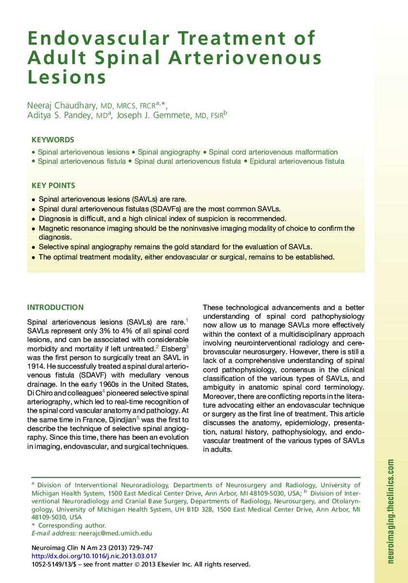 Endovascular Treatment of Adult Spinal Arteriovenous Lesions