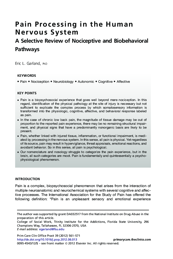 Pain Processing in the Human Nervous System