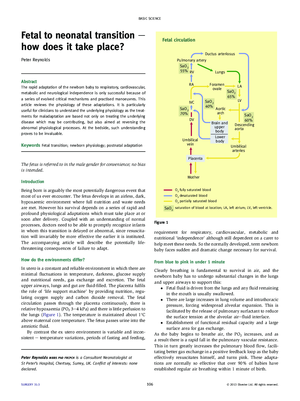 Fetal to neonatal transition – how does it take place?