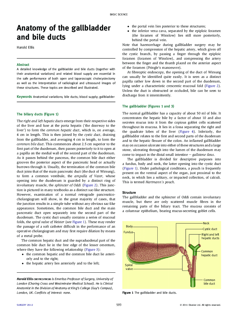 Anatomy of the gallbladder and bile ducts